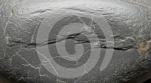 Close-up of a dark, smooth rock