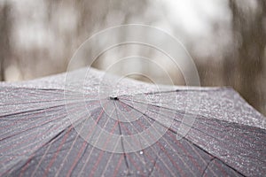 Close-up of dark umbrella during rain.