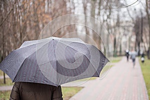 Close-up of dark umbrella during rain.