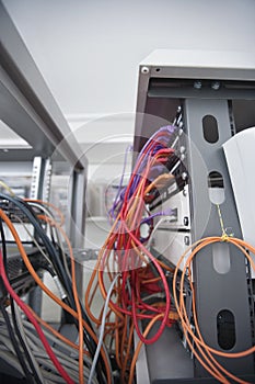 Close-up of data cable plugs connected to servers