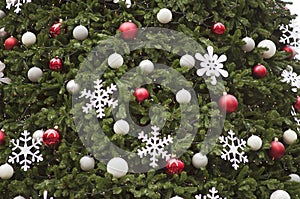 Close-up of a decorated Christmas tree outside. Evergreen tree decorated with red, white and silver ball ornaments, white