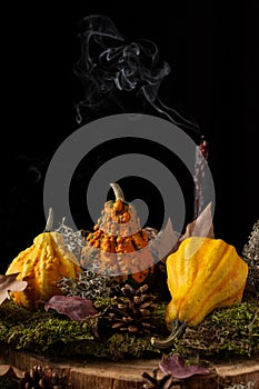 Close-up of decoration for Halloween with pumpkins, autumn leaves and black candle extinguished with smoke