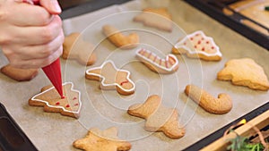 close-up decoration homemade gingerbread Christmas cookies food icing glaze