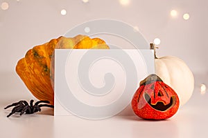 Close up of decoration white and orange small smile Halloween pumpkin, black horror spider and white canvas mockup on bright