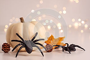 Close up of decoration white small Halloween pumpkin, black horror spiders felt yellow leave and pine cones on bright blurred