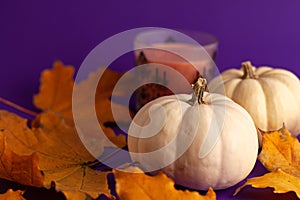 Close up of decoration white small Halloween pumpkins yellow orange leaves and candle on vibrant purple blurred background with