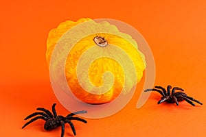 Close up of decoration yellow small Halloween pumpkin mockup template white frame with wooden borders and black horror spiders on