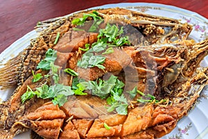 Close up Deep Fried Sea Bass With Fish Sauce (Pla Ga Pong Tod Nam Pla)