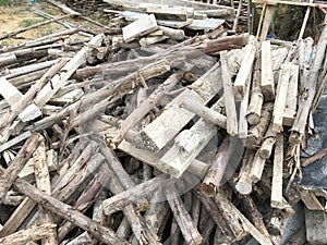 Deforested cut tree wood in forest