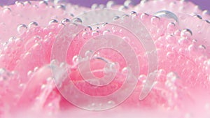 Close-up of delicate rose petals with bubbles. Stock footage. Pink rose petals under water with bubbles. Lots of bubbles