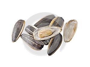 Close-up of delicious black sunflower seeds Natural agricultural seeds isolated on white background