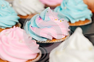 Close up of delicious blue and pink cupcakes decorated with sprinkles in cupcake tray.