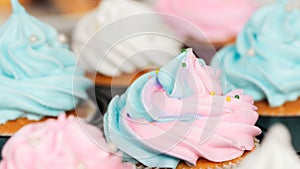 Close up of delicious blue and pink cupcakes decorated with sprinkles in cupcake tray.