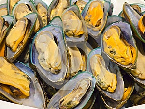 Close-up of delicious boiled mussels