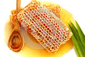 Close up delicious golden honeycomb on white background.Stock ph