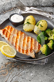 Close up of delicious grilled salmon with new potatoes, broccoli and cream sauce in a plate. Vertical