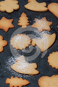 Close-up of delicious homemade Cookies