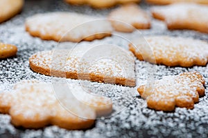 Close-up of delicious homemade Cookies