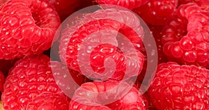 Close up of delicious red raspberries