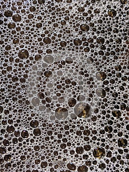 close-up of dense bubbles on a dark liquid surface