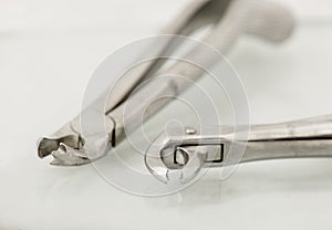 Close up of dental extraction forceps