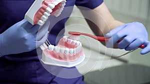 Close-up of the dental jaw. Dentist demonstrating professional brushing of teeth with a toothbrush. Brush movements that