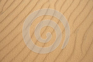 Close up on desert dune sand texture or background