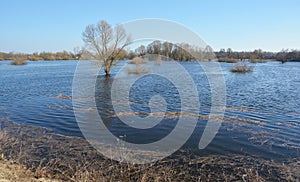 Desna rive flood in spring