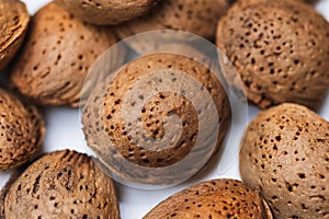 Close up of detail of almond shells freshly picked from the tree.
