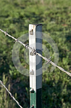 Close up detail of a barbed wire farm fence