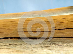 Close-up detail of cut dry wood log.
