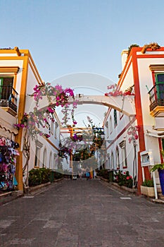 Close up detail of flowers in Puerto de Mogan, Little Venice in Gran Canaria