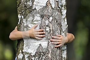 Close-up detail of isolated growing big strong tree trunk embraced from behind by small white child hands on blurred background.