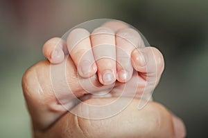 Close-up detail macro view of baby holding on to parent finger with his little hand