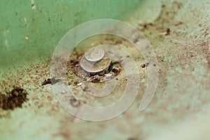 metal drain plug in the bottom of a filthy dirty green bathroom sink