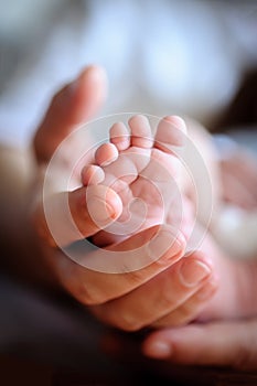 Close-up detail of mother holding cute and soft baby small leg in her hands