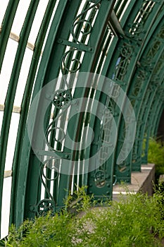 Close up detail in The Royal Greenhouses at Laeken, Brussels, Belgium