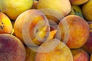 Close-up detail shot of fresh field orange peach