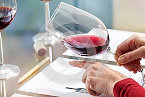 Wine steward evaluating red wine density photo