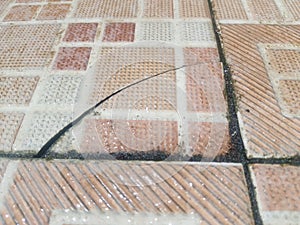 close-up detail of the surface of an old ceramic tile or tile floor