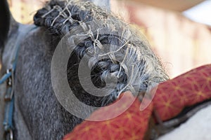 Close up detail of traditional bottom braids doma vaquera photo