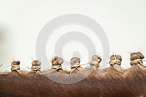 Close up detail of traditional bottom braids doma vaquera photo