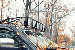 Close-up detail view of custom made roof rack bar with extra headlight mounted on roof of heavy duty pick up suv car