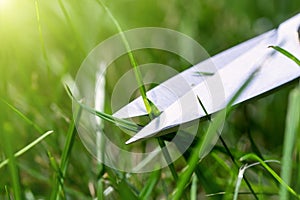 Close-up detail view of man hand cutting green grass on backyard garden with small nail scissors on bright summer sunny