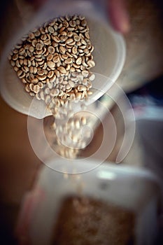 close up detail of whole grain fresh coffee putting from one dish to another