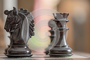 Close-up, detailed image of hand carved wooden chess pieces including a knight and rook.