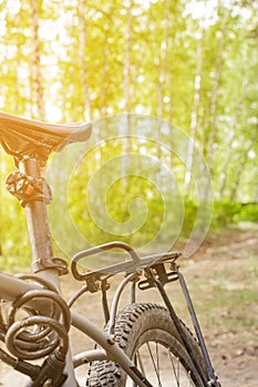 close-up details of a bike against a blurred forest background, front and back background blurred with bokeh effect