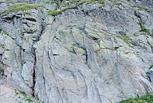 Close up of details of natural rock cut texture and green alpine