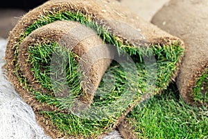 Close-up details stacks of green fresh rolled lawn grass on wooden pallet for installation at city park or backyard on