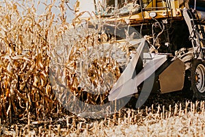 Close up details of working farmer with combine harvester in the fields